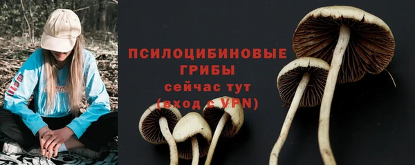 шишки Богородск