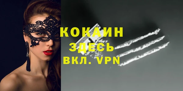 шишки Богородск