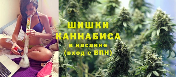 тгк Богданович