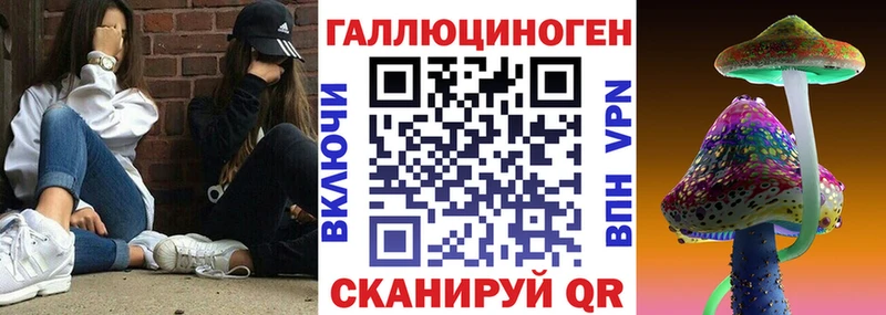 хочу наркоту  Нерчинск  Галлюциногенные грибы MAGIC MUSHROOMS 